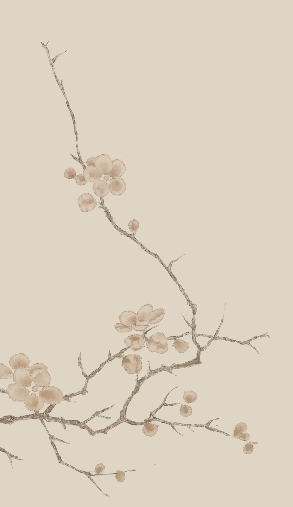 decoration
